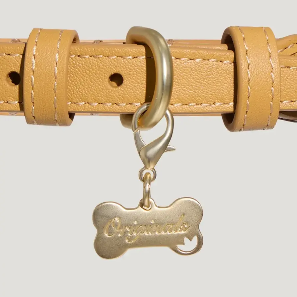 image_04D5F71F-1281-4F1B-9093-11FE4FB79F07_1769848482