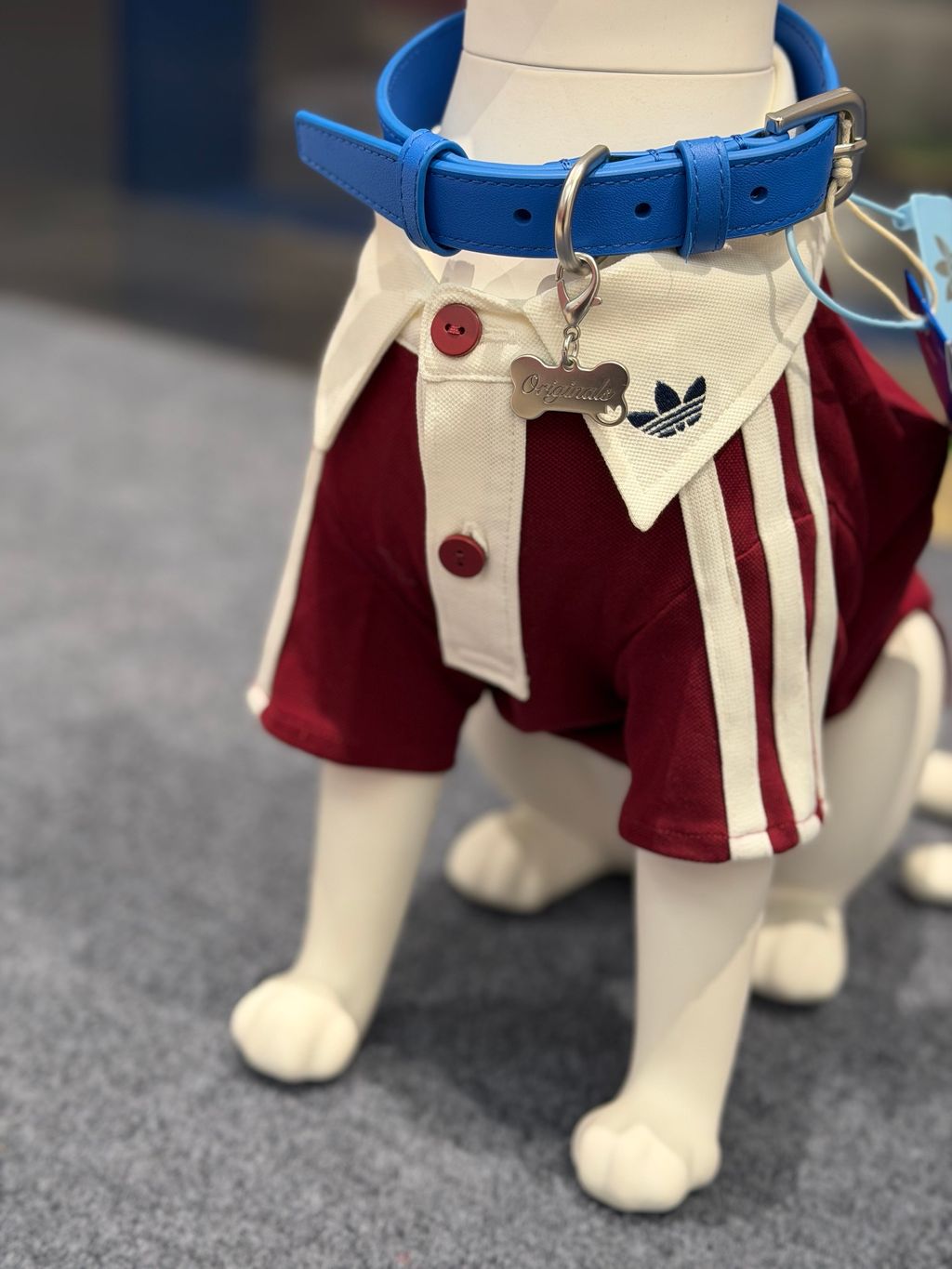 image_7B058308-0803-4056-9944-9FCD72602938_1769848482