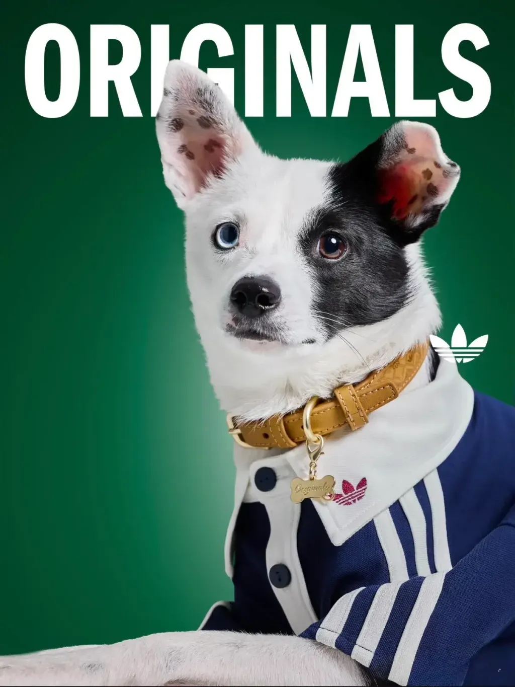 image_AC5E240E-2110-484B-B95C-7CB811EF2A5E_1769848482