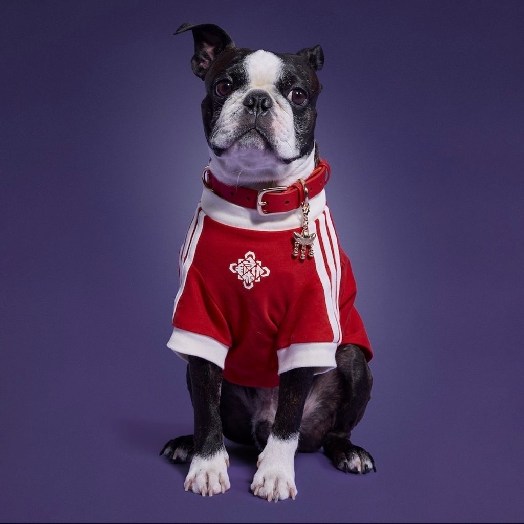 image_B8CDA6D5-3558-49C6-97D4-5E251740880D_1767003422