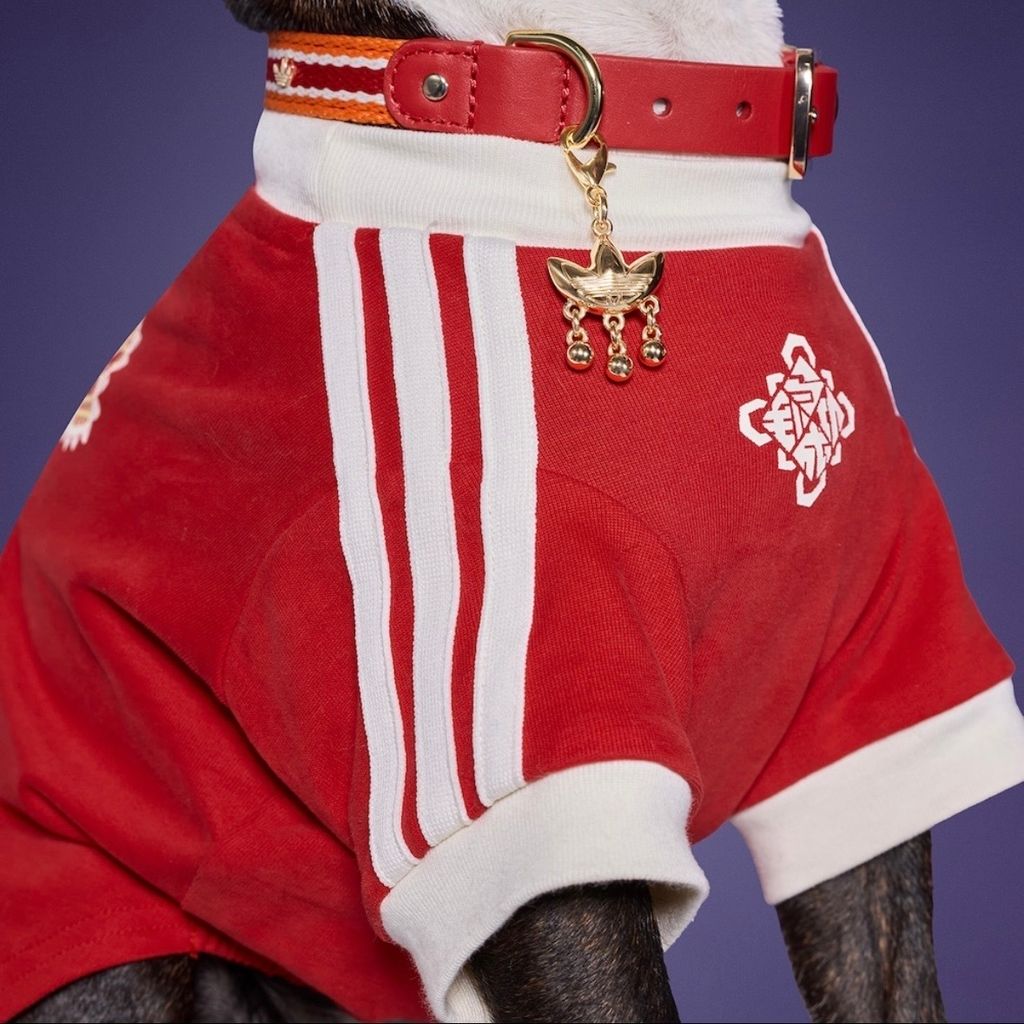 image_12375AB2-2F09-4A5D-B23C-599937234E2C_1767003422