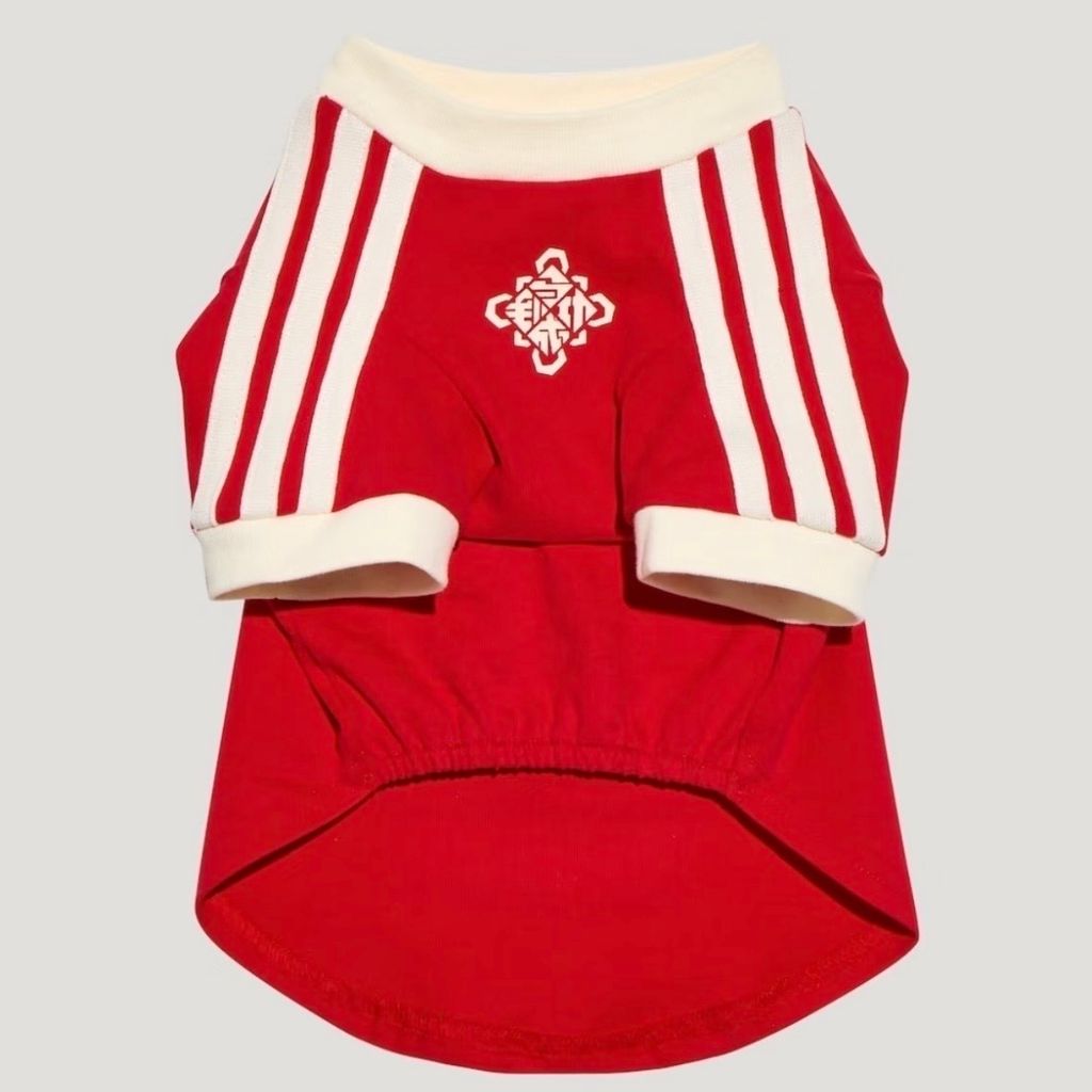 image_2C840A73-D66F-40B7-8C00-34CBF94AD8A8_1766499214