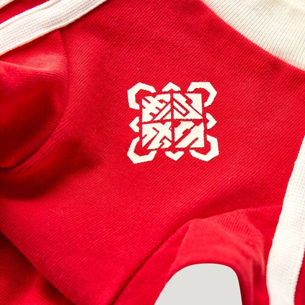 image_F69C2C6F-6B19-4F0B-B197-516584B3A1DE_1766507245