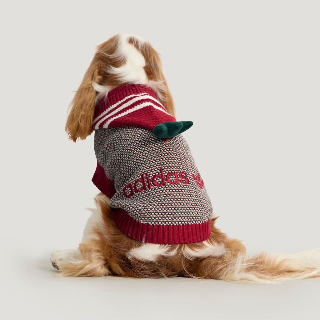 image_13D66ED4-1159-4BA6-9F0F-92274AF30D03_1768390924