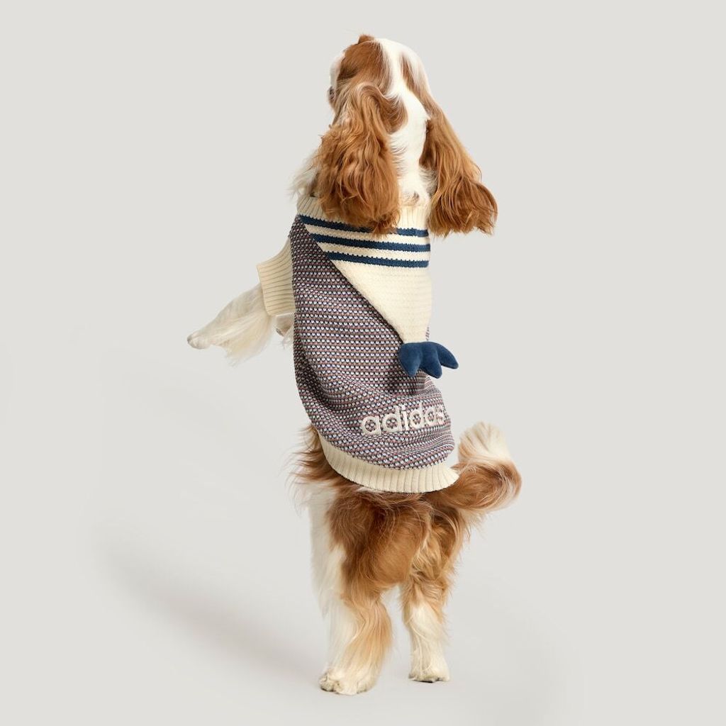 image_6684D7E9-3431-46A7-8F41-149DBC563719_1768390924