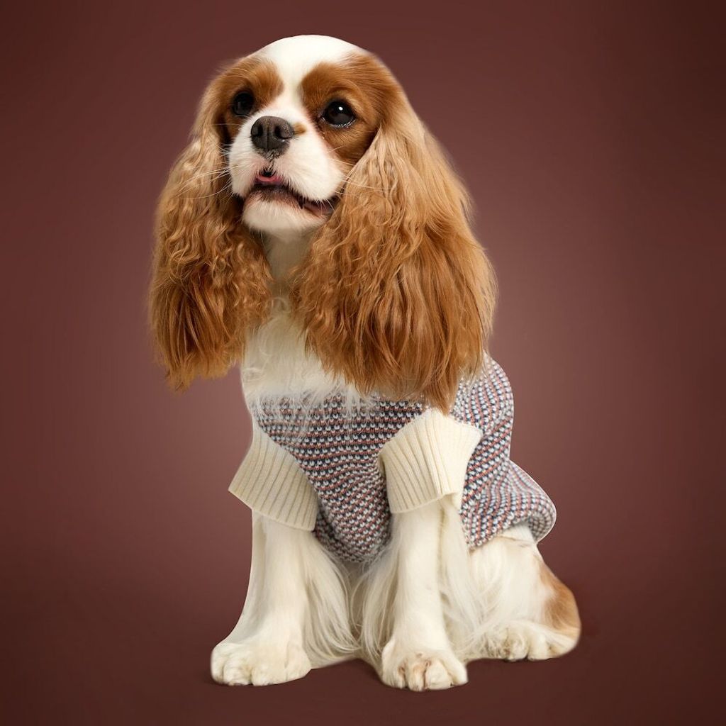 image_9D6B699A-A5C4-4575-80EB-5177B1E02DF6_1768390924