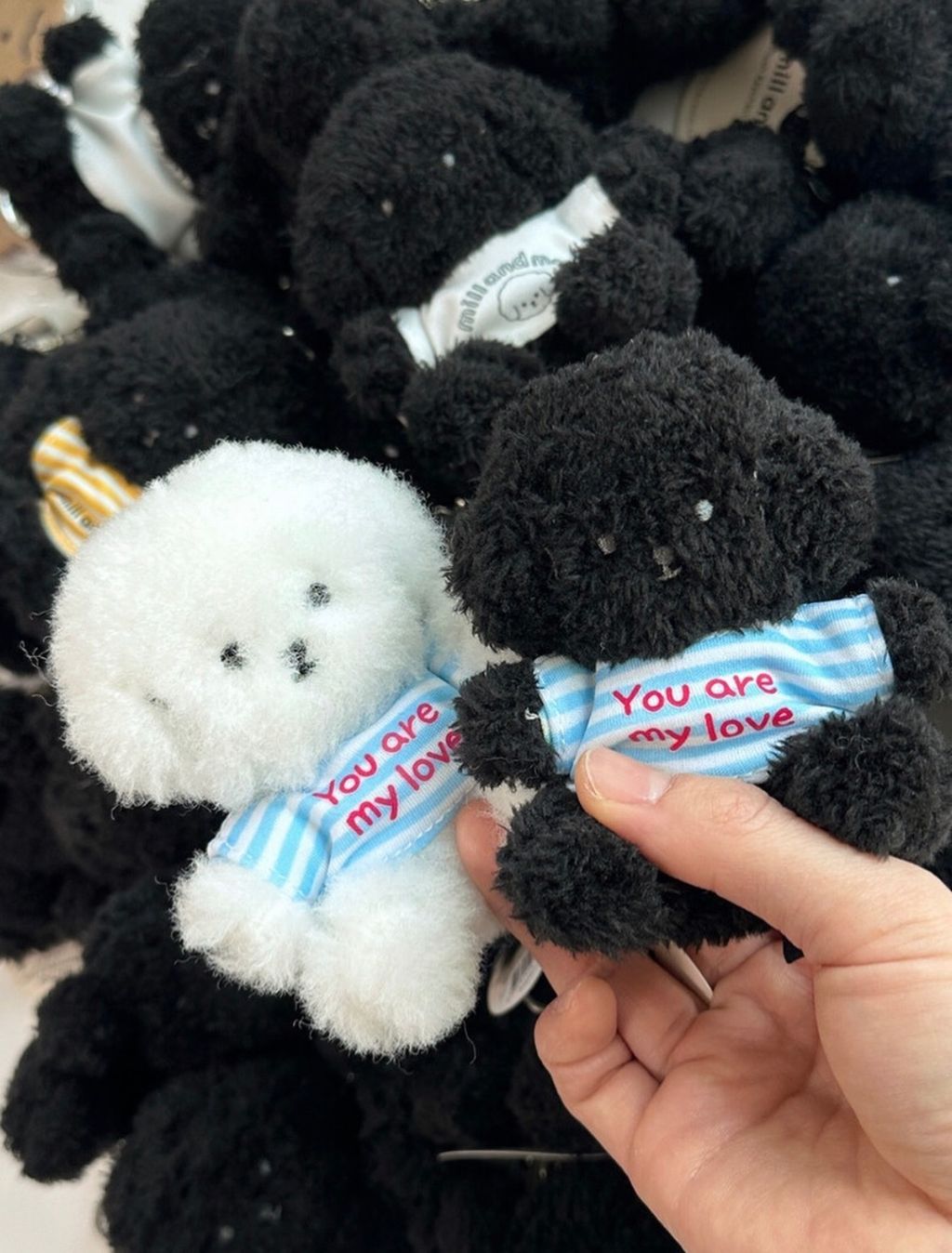 image_34811428-9887-421D-AEFC-990541DED8A9_1770363863