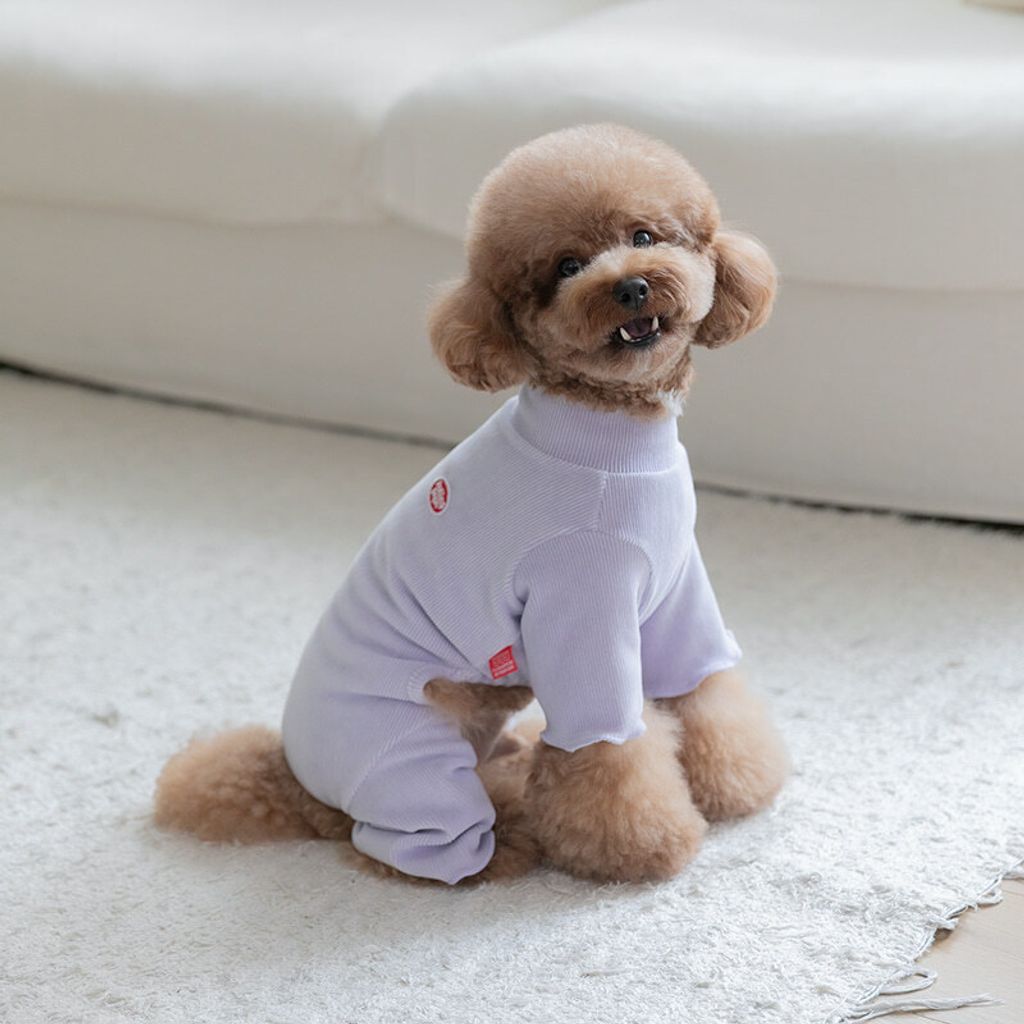 image_AF8007CB-E420-4BB2-A49D-20390A1F30C9_1767160790