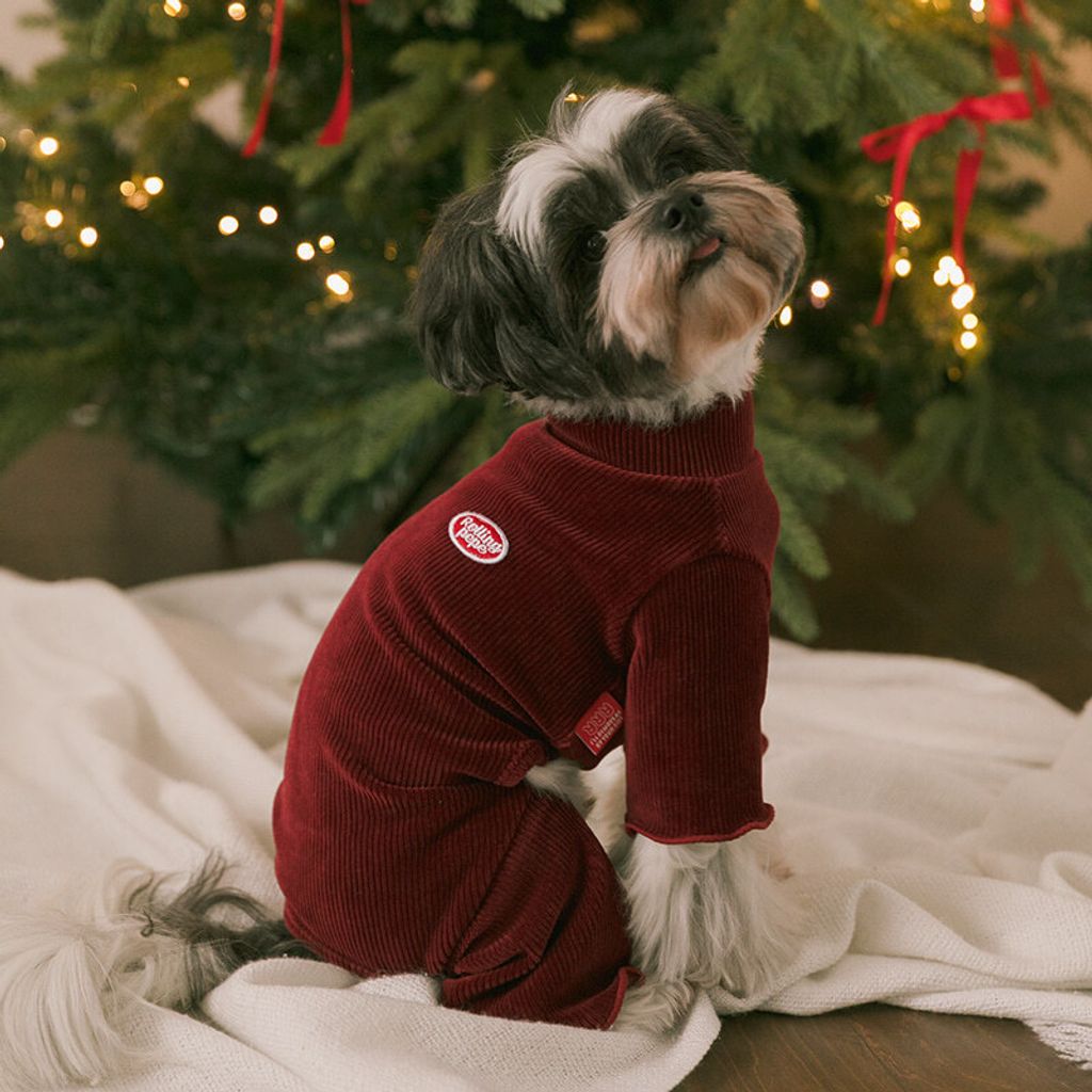 image_16501584-B2FC-4805-A63A-D8E7031C58CA_1767160790