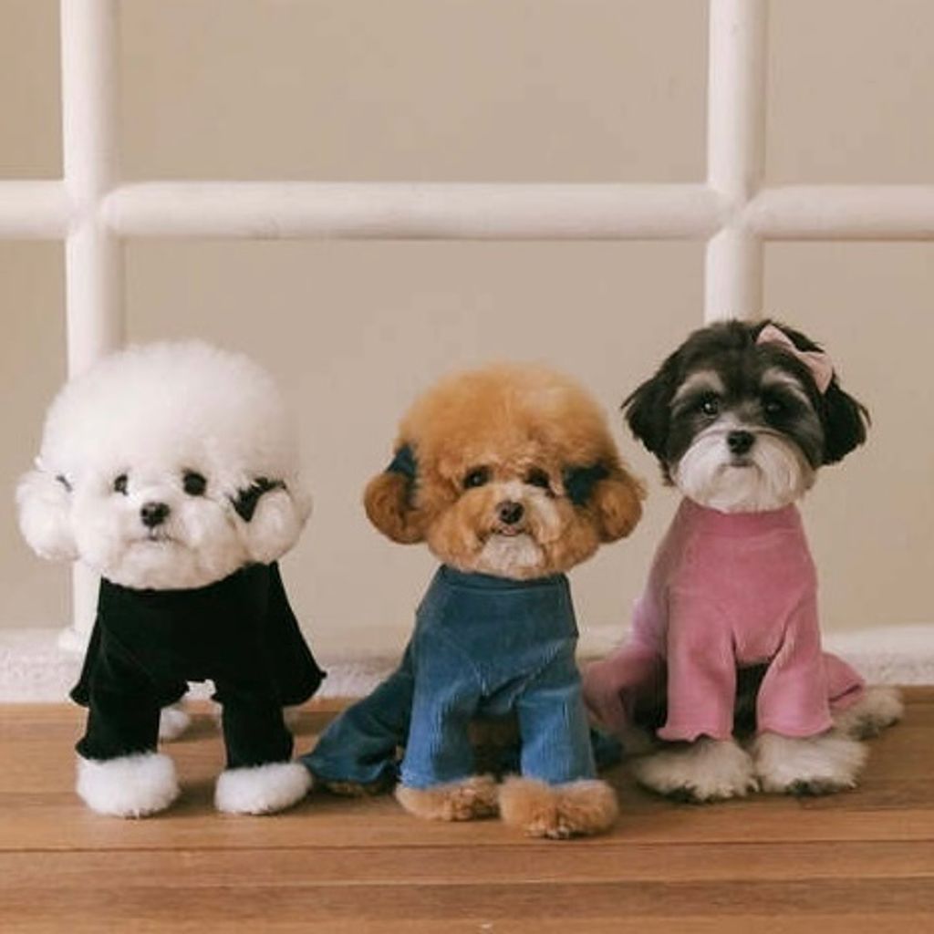 image_8FABEBD4-3B09-40F6-8061-6176A76FAC68_1767160790