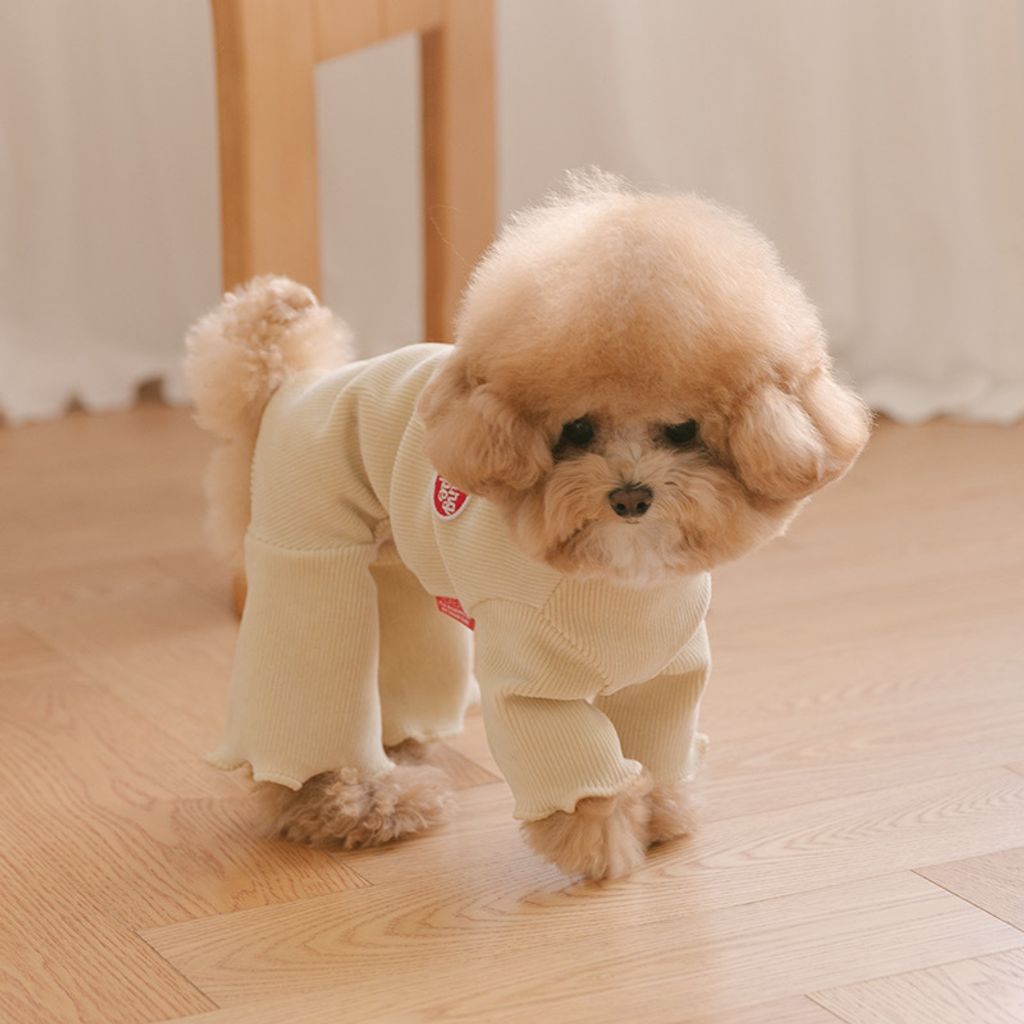 image_200F881C-7F22-4D90-B5A9-B3A4AA5BF576_1767160790