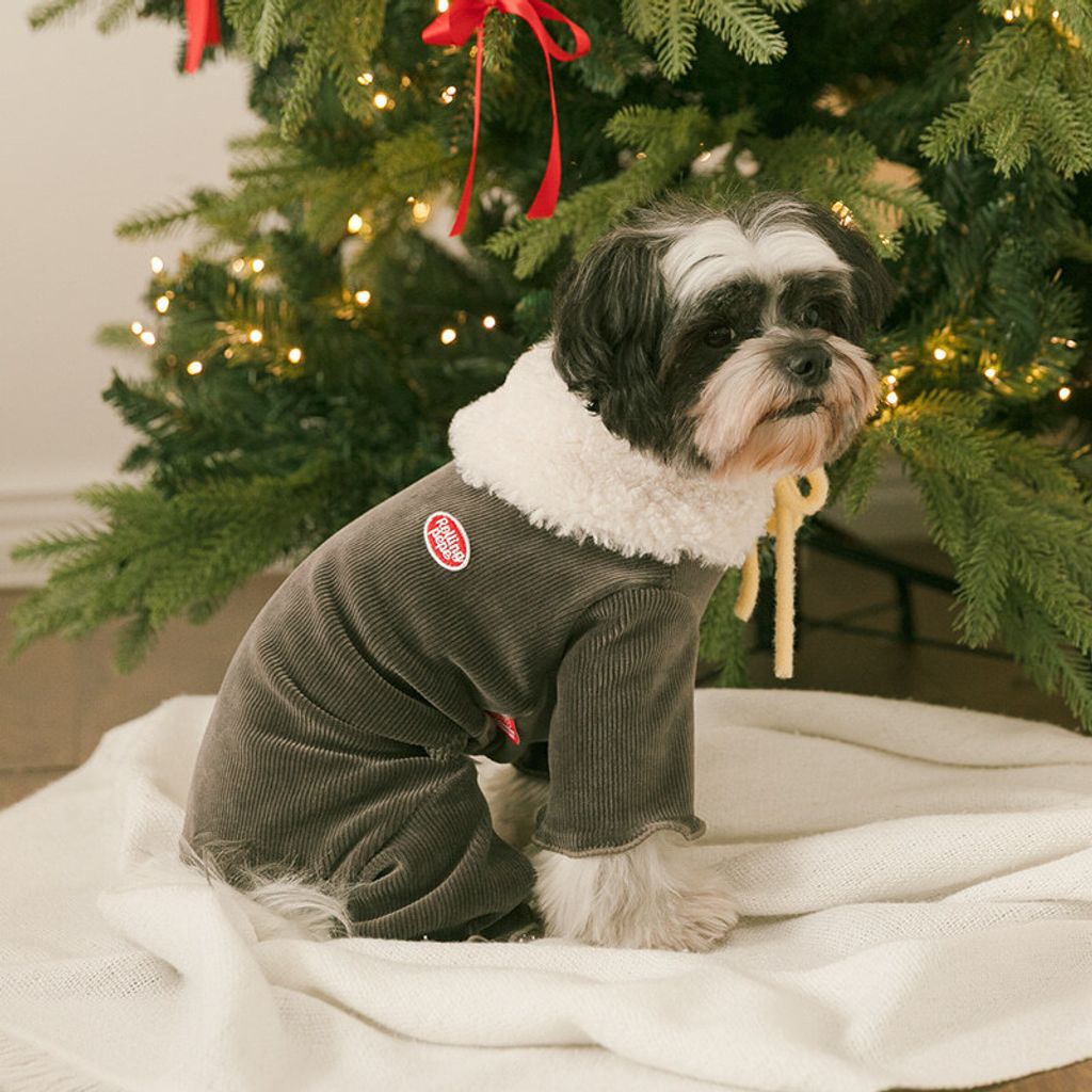 image_3851170A-FC88-4850-91CF-1763B8E2FC7B_1767160790