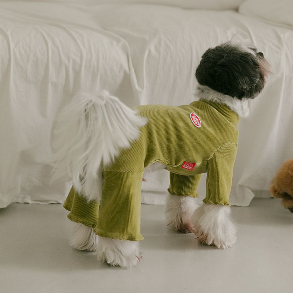 image_EFCF62E7-4CD3-40A6-A294-02535B66984C_1767160791