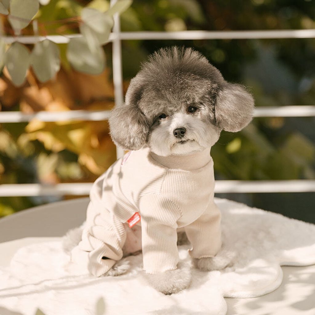 image_26CC790E-80D8-4CDD-A139-A428513E3DEA_1767160790