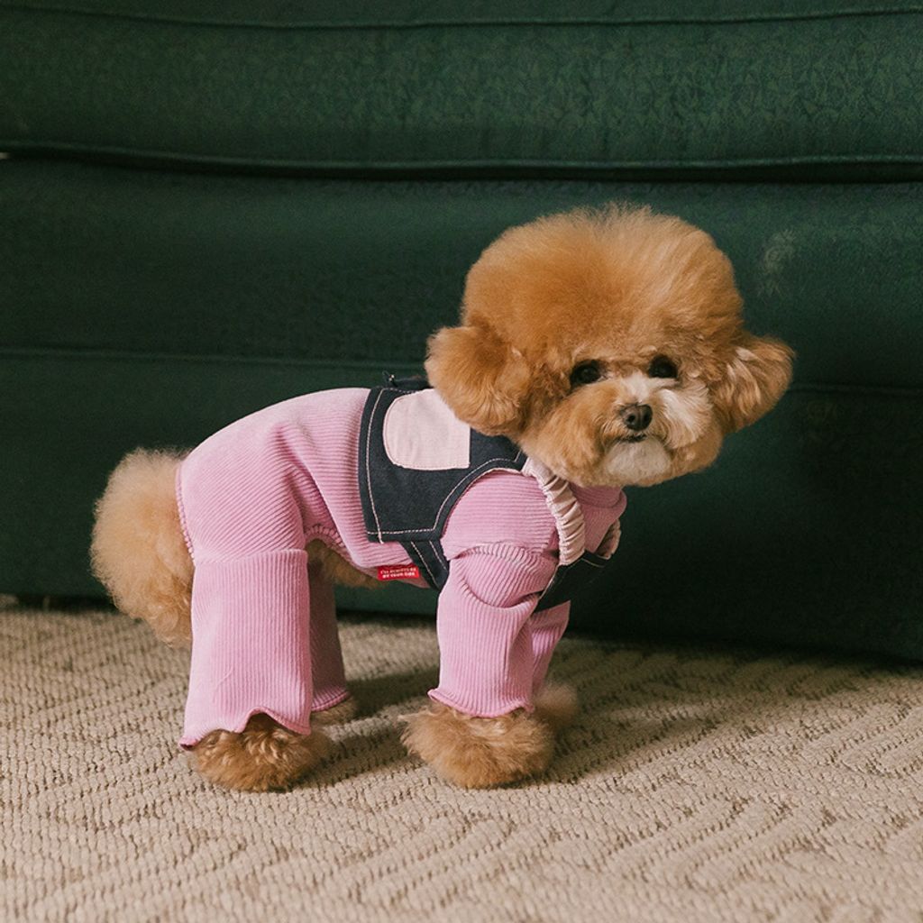 image_E70A97D9-48FF-4E82-8BD9-352938A84D9E_1767160791