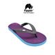 Purple/Blue/Grey