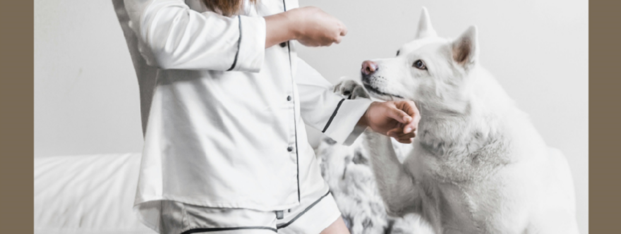 ⭐ 萌吉：狗貓 為什麼會脹氣、想吐、拉肚子？