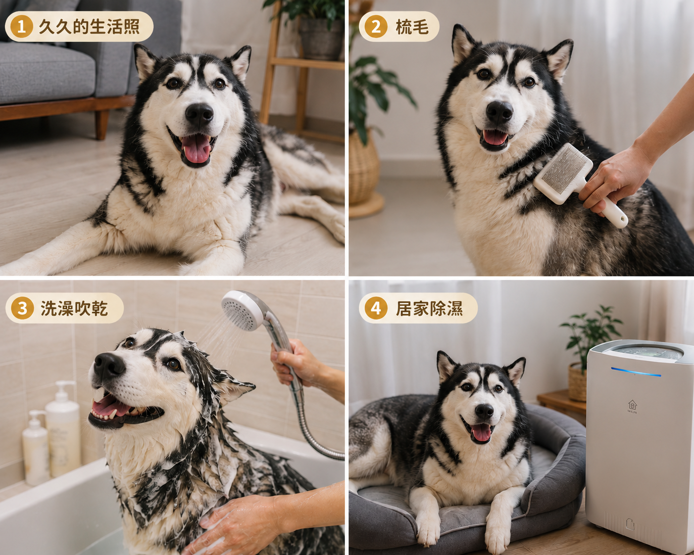生活照