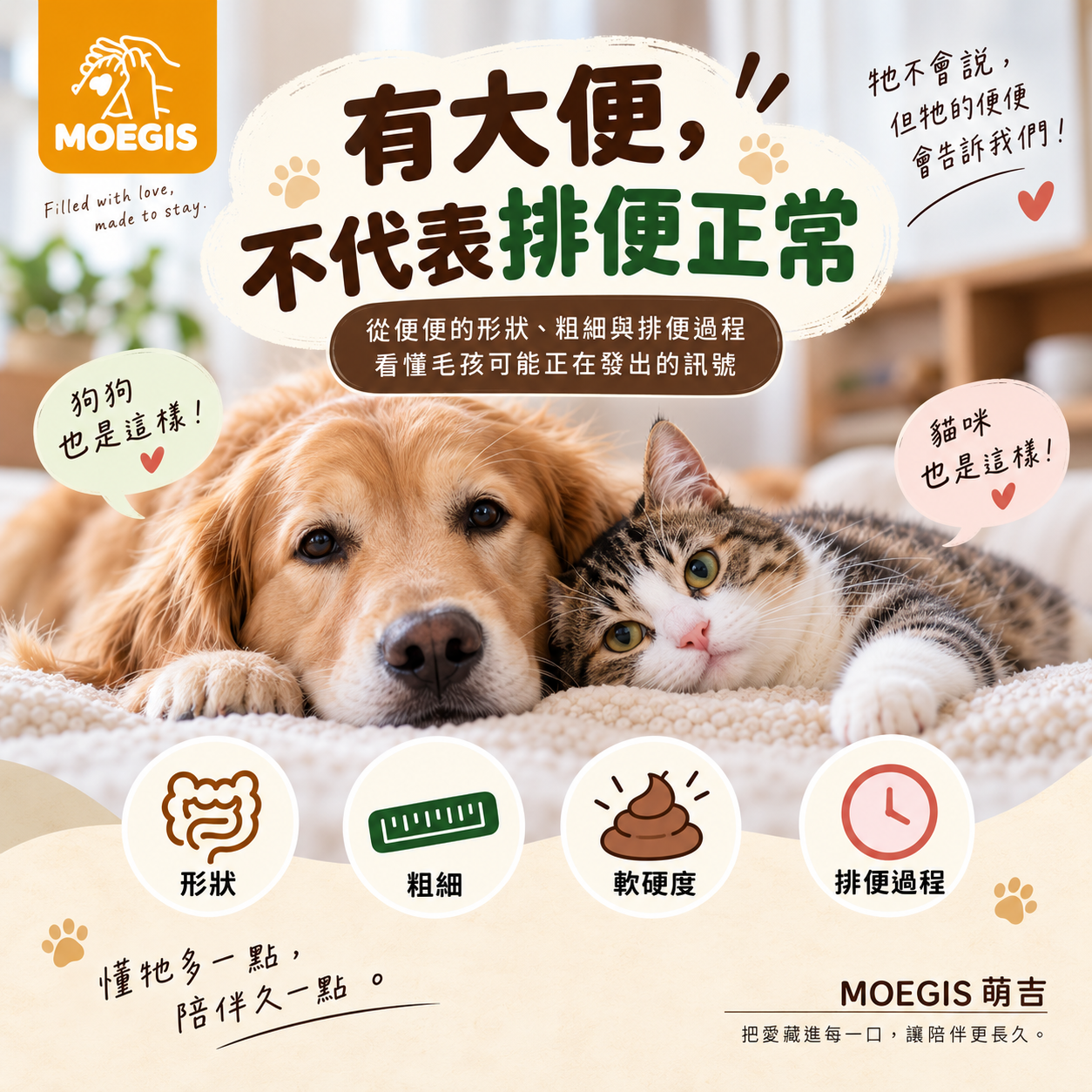 有大便，不代表排便正常