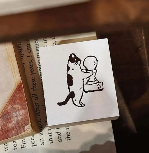 貓