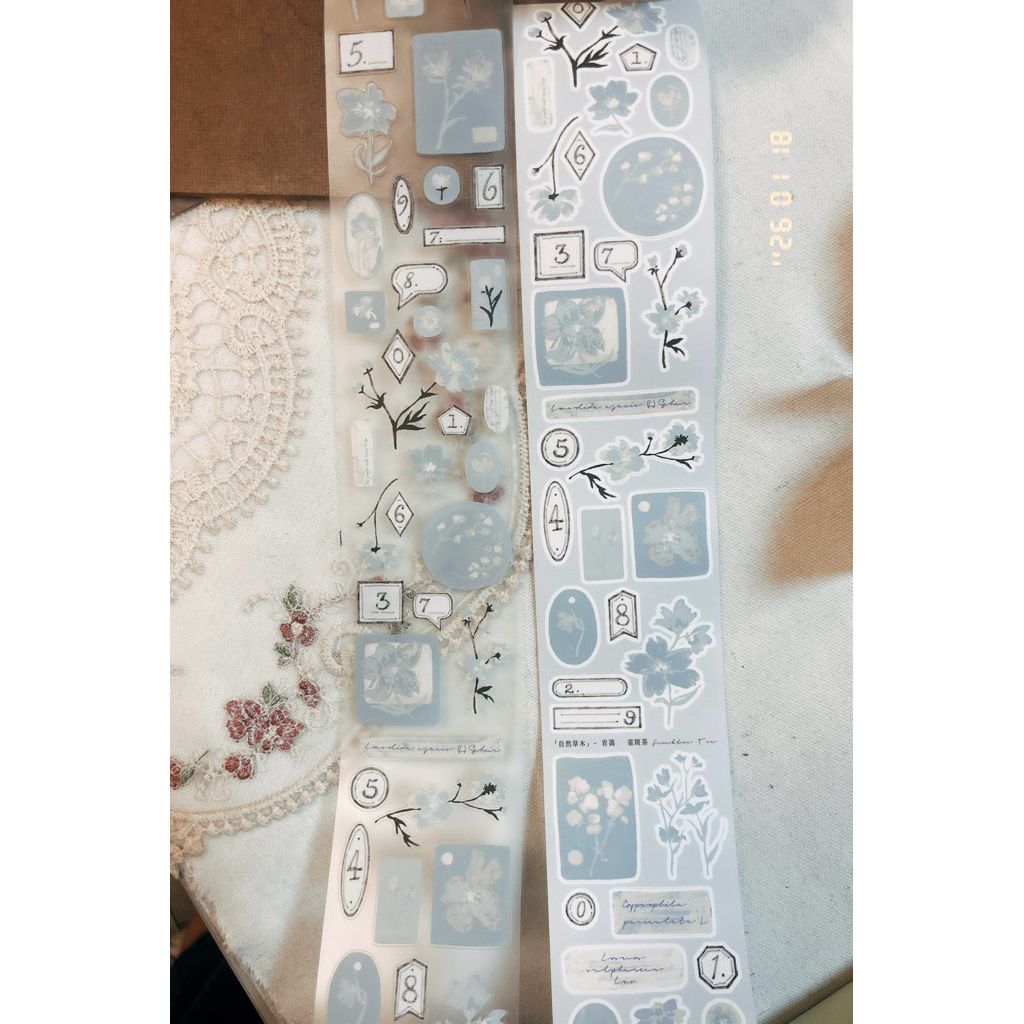 tw-11134207-81zte-mjmk8cl3w6iv67