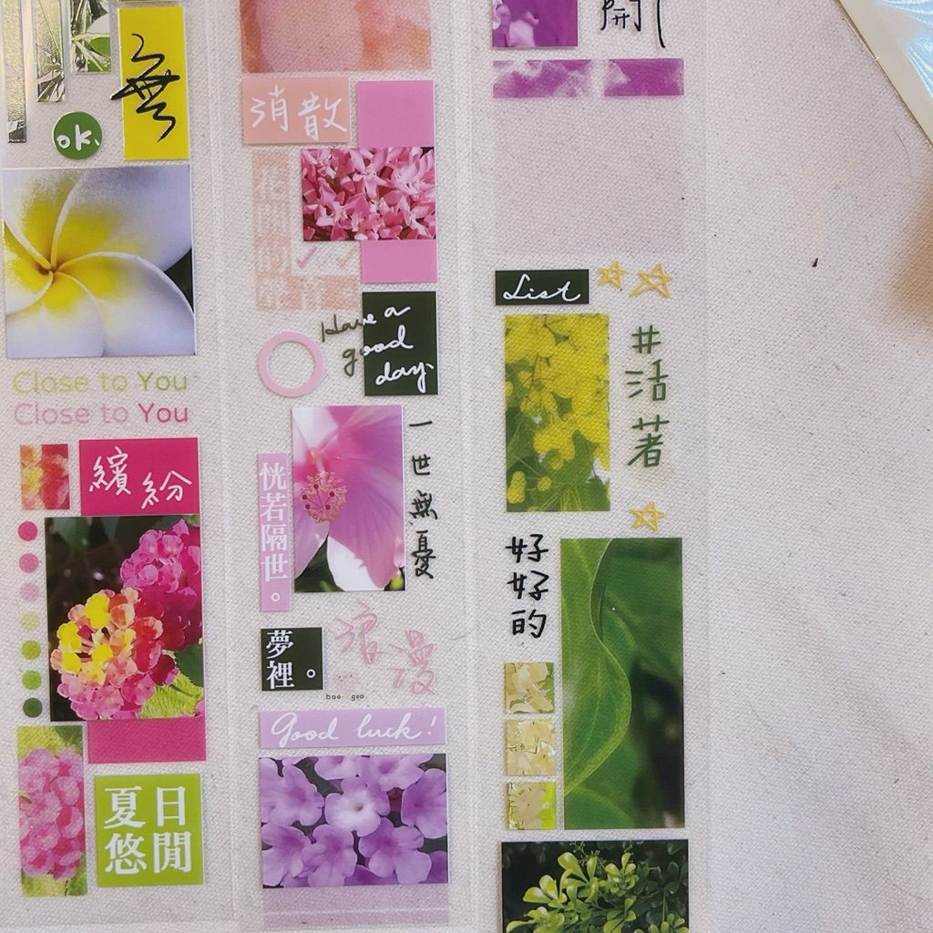 tw-11134207-81zth-mio9cgvldybm66