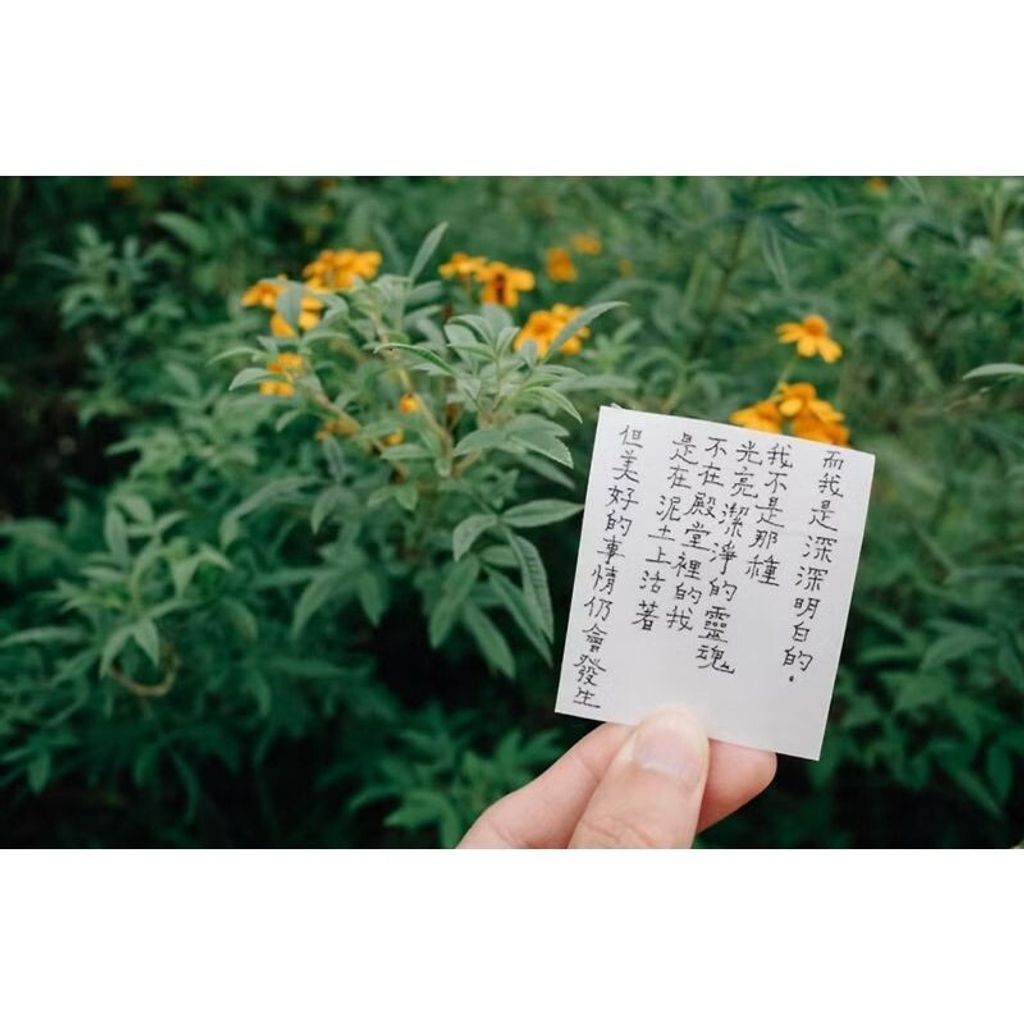 sg-11134201-7rdvx-mchnuohn0x1q73
