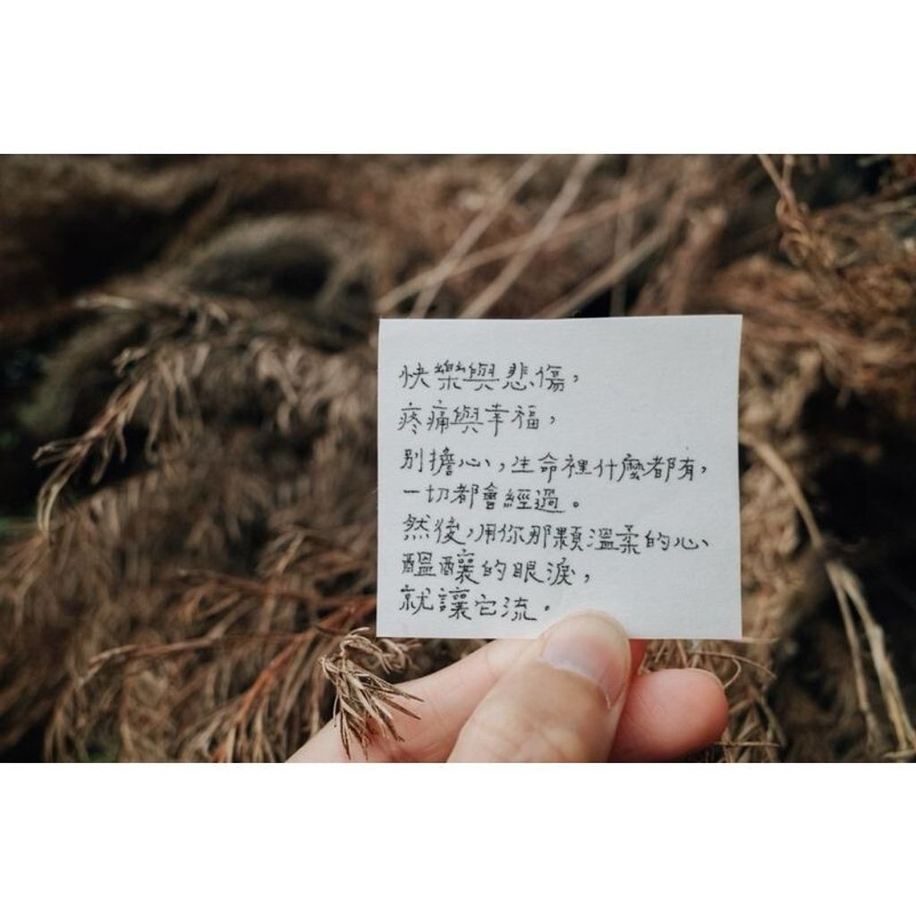 sg-11134201-7rdw6-mchnupmp8ndg85