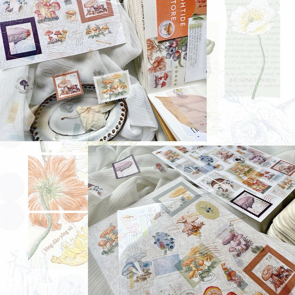 tw-11134207-81ztp-mhd1xnvnjoy47d