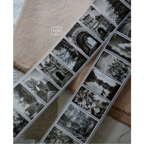 tw-11134207-7rasi-m11iyl870xg5f5