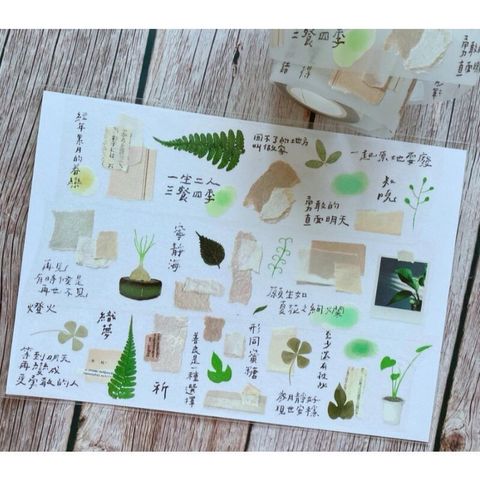 sg-11134201-7rdxr-mcho84esschse5