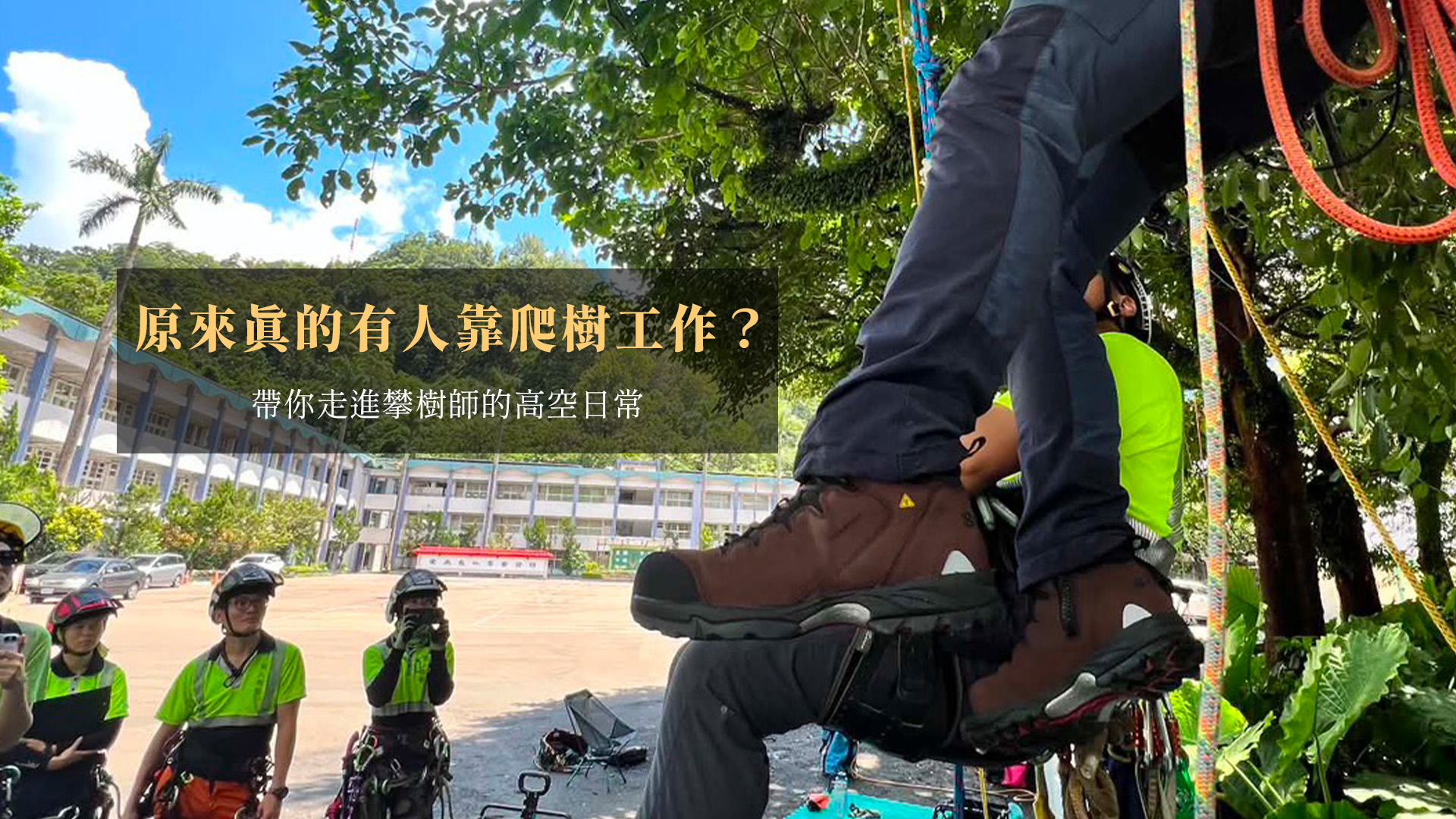 原來真的有人靠爬樹工作？走進攀樹師的高空日常