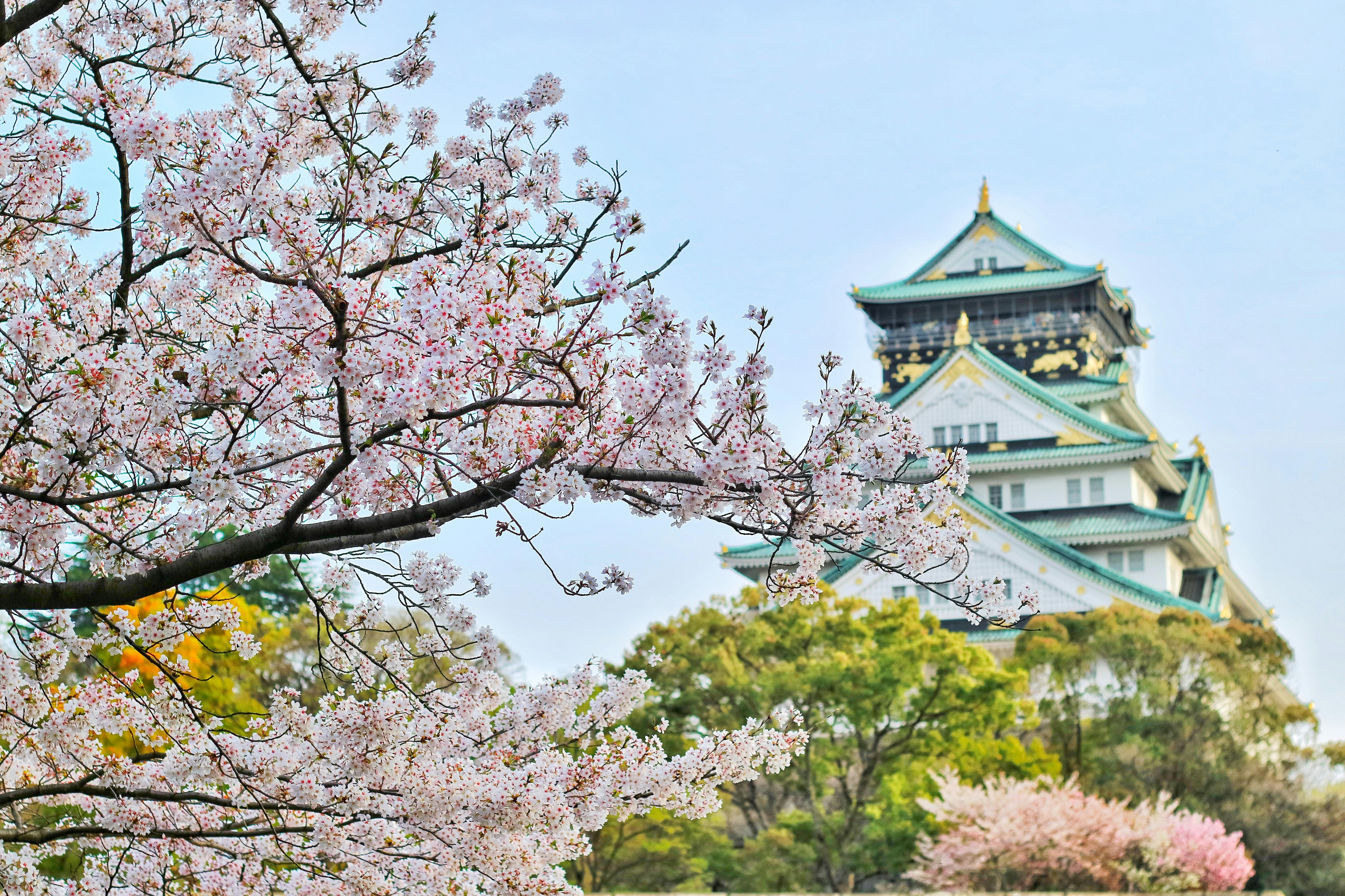 日元汇率优惠代购:教你抓住日元低点,省钱买日本好物 | 马来西亚 日本代购