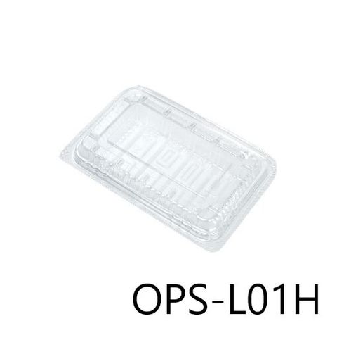 L01H-01
