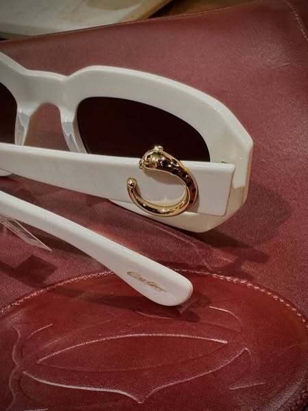 520065310_122174054102569030_4423271572885719507_n