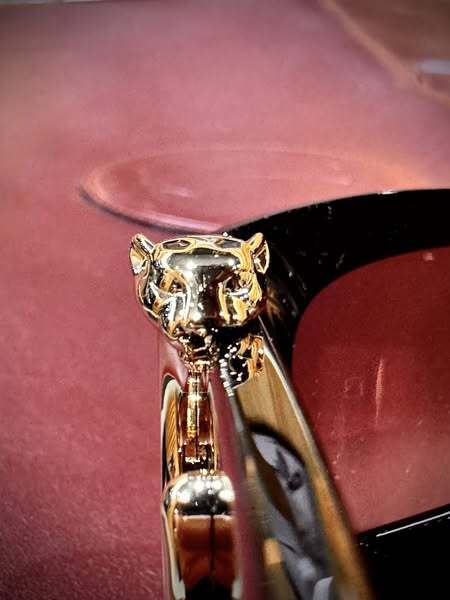 520416646_122174054066569030_2584341446269955798_n