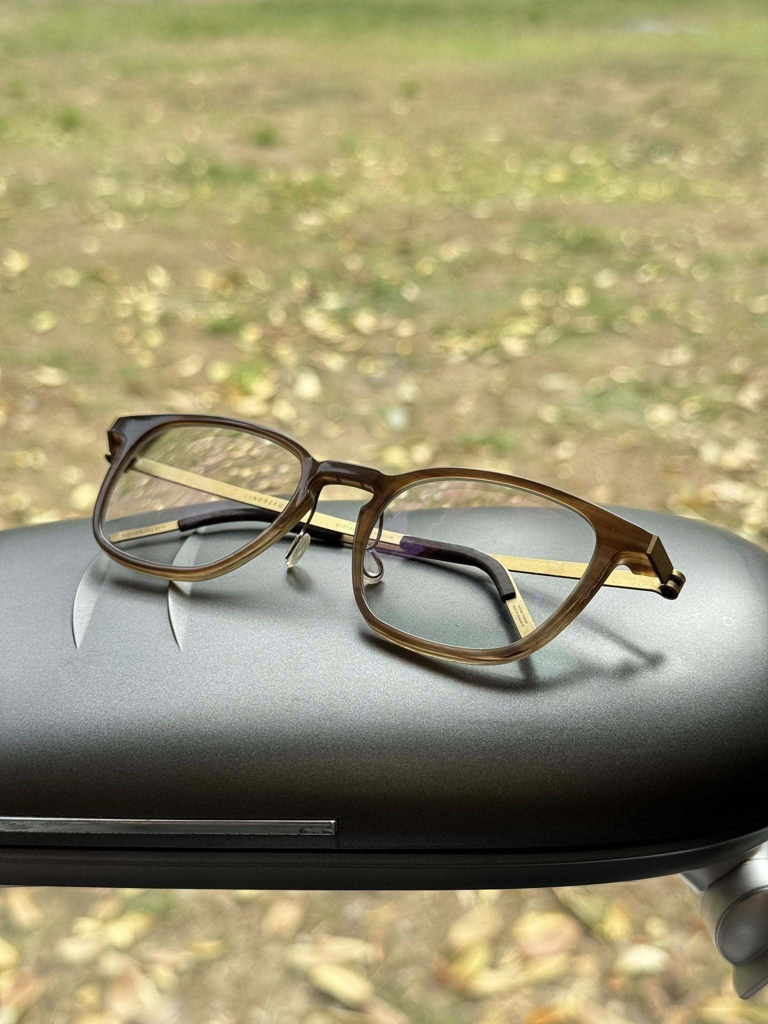 524923254_122175395162569030_8029424979684175158_n