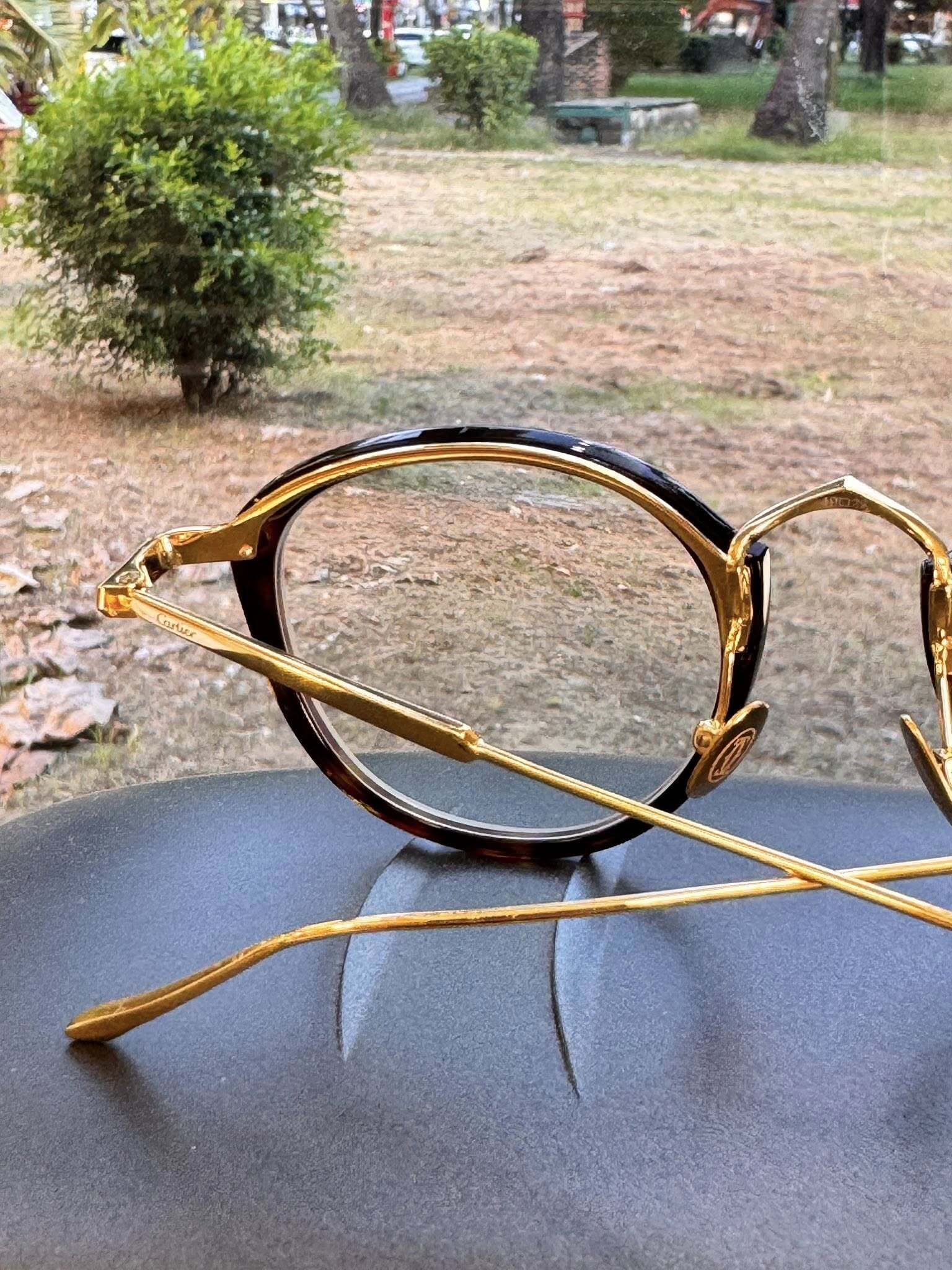 530709802_122177735690569030_3902978276245707433_n