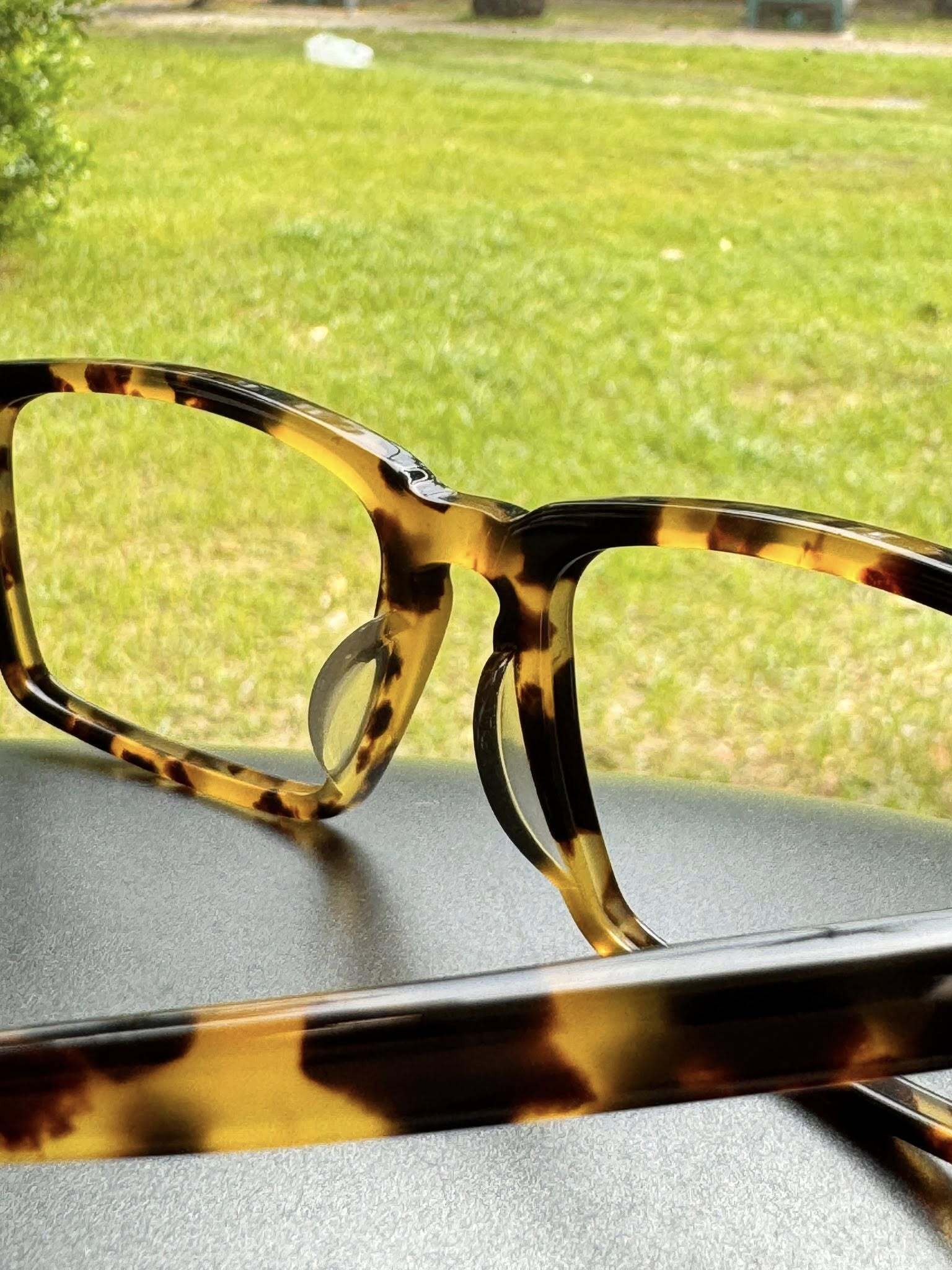 550436528_122184164066569030_2632647111728948199_n