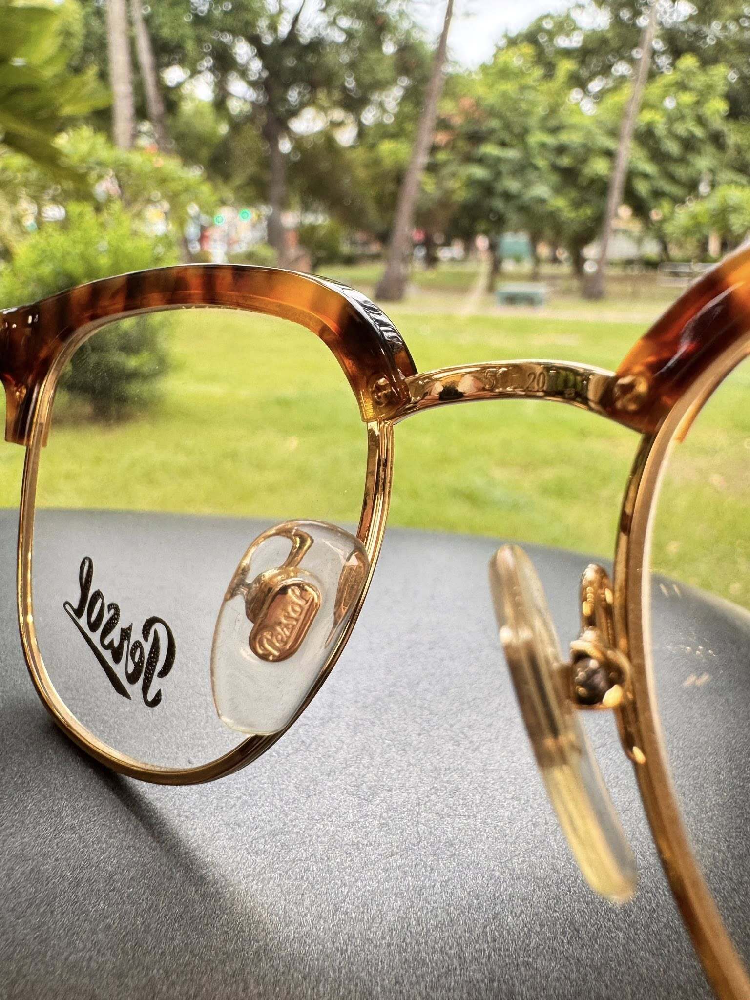 550227361_122184516860569030_7450249287743009485_n