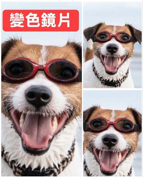 557619339_122186538758569030_734515214641854663_n