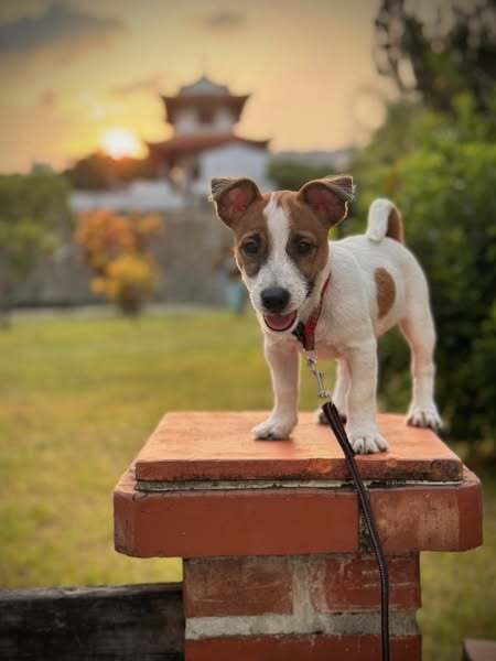 559303685_122187556214569030_3893844738898744532_n