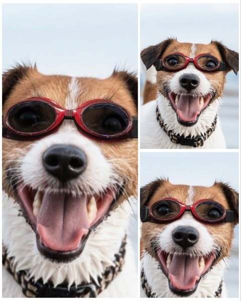 558869300_122187556262569030_1465242290468736412_n