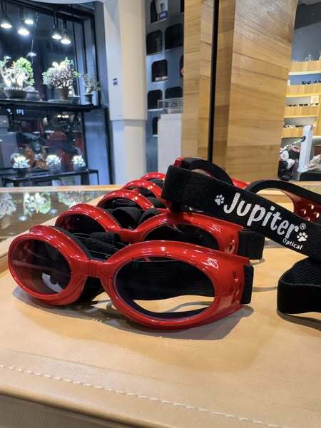 560059001_122187556226569030_7200822463096029781_n