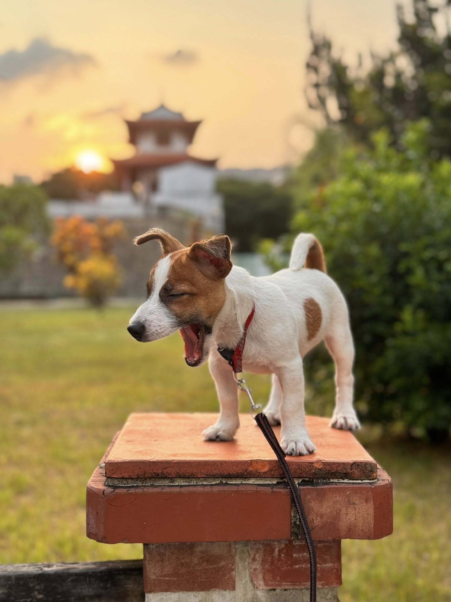 558760449_122187556274569030_8757140475436246587_n