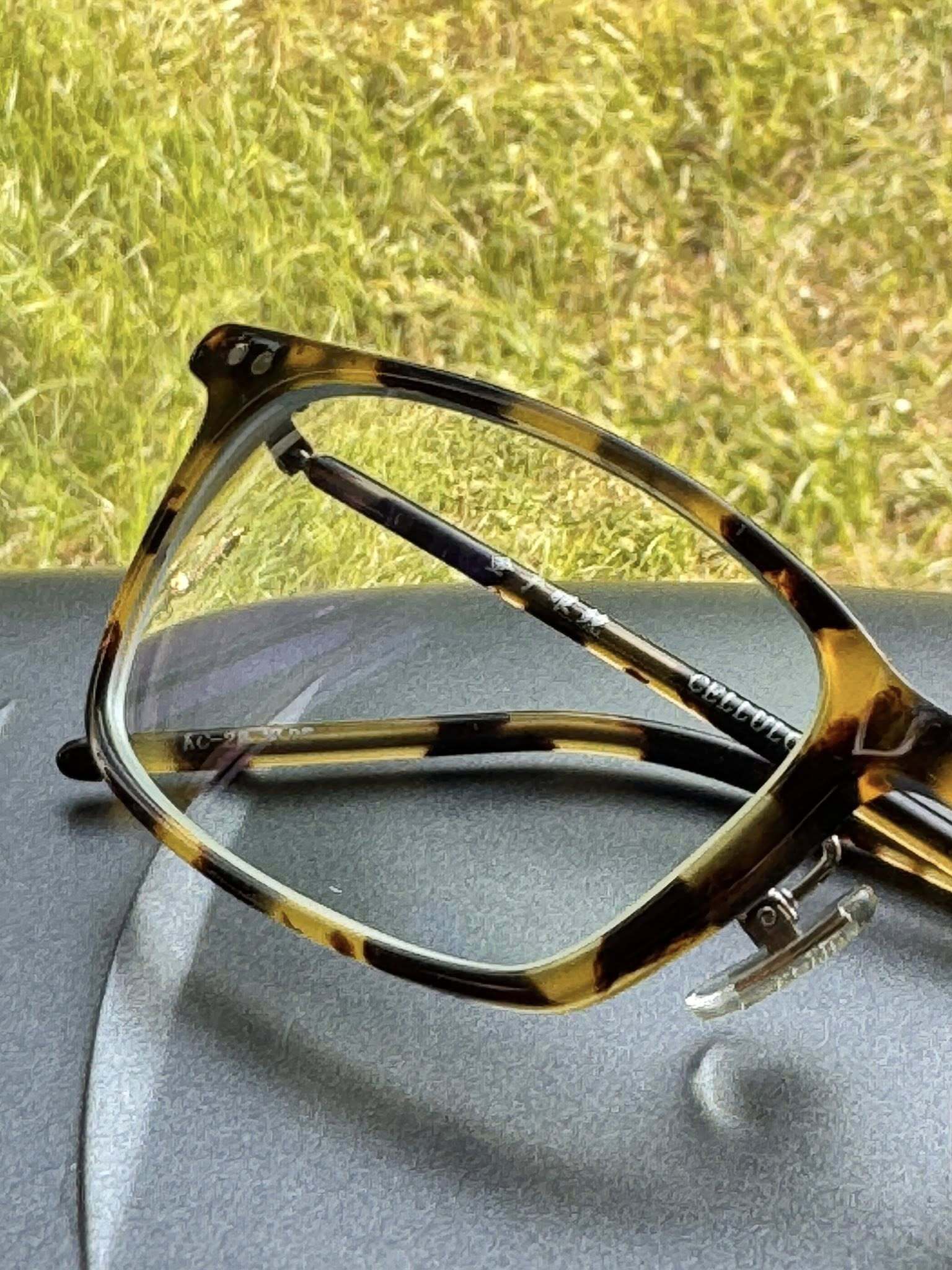 564588199_122188698200569030_331560519361415677_n