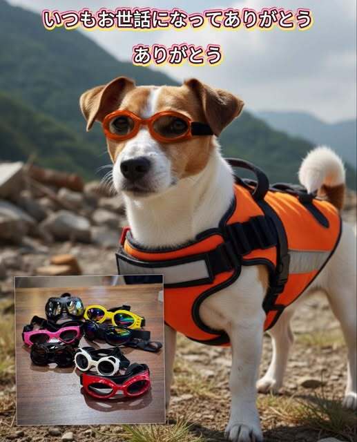 574833572_122191420592569030_8884453932997943208_n