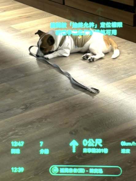 584620872_122193708626569030_7851543558809993977_n