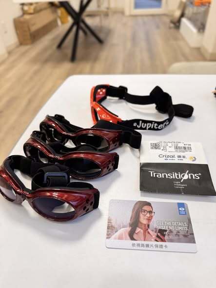 616607600_122203108358569030_4899932047470869270_n