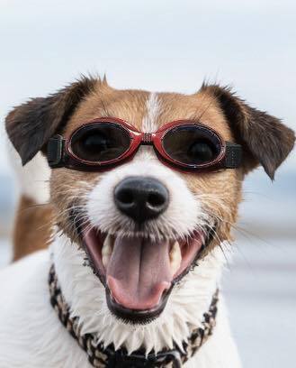 616957971_122203108136569030_385942744095304279_n